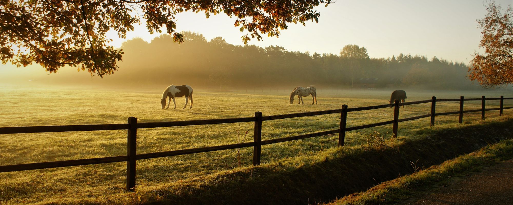 Where buyers find ranches and acreage near Missoula